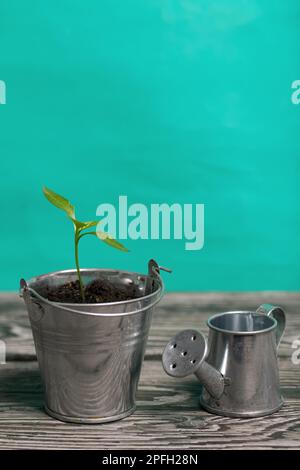 Arrosoir, Arrosoir En Métal Pour Fleur De Jardin[u4938] - Jardin