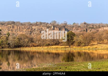 Paysage de palais avec lac, eau en face du fort à la Padma Talao. Parc national de Ranthambore, Rajasthan, Inde Banque D'Images