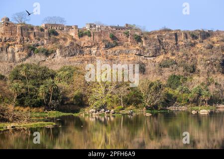 Paysage de palais avec lac, eau en face du fort à la Padma Talao. Parc national de Ranthambore, Rajasthan, Inde Banque D'Images