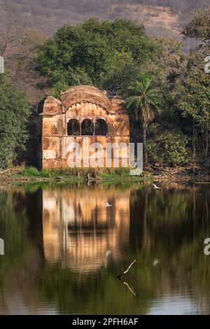 Paysage de palais avec lac, eau en face du fort à la Padma Talao. Parc national de Ranthambore, Rajasthan, Inde Banque D'Images