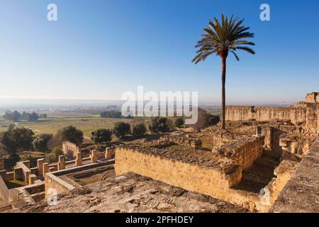 Vue d'ensemble des ruines du 10th siècle du palais-ville islamique fortifié de Medina Azahara également connu sous le nom de Madinat al-Zahra, province de Cordoue, Andalu Banque D'Images