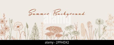 Arrière-plan Meadow Flowers. Bordure de fleurs sauvages de champ dessinées à la main. Illustration vectorielle dans le style d'esquisse. Design horizontal esthétique et botanique Illustration de Vecteur