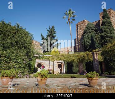 Malaga, province de Malaga, Andalousie, sud de l'Espagne. Plaza de Armas ou Parade Ground, maintenant un jardin, dans l'Alcazaba ou le château. Banque D'Images