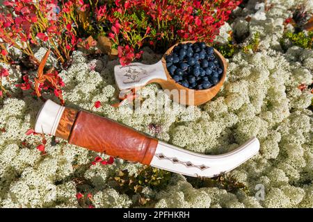 Couteau traditionnel sami et coupe scandinave, guksi en bois / kuksa / kåsa rempli de bleuets européens récoltés / myrtilles à Autum, Suède Banque D'Images