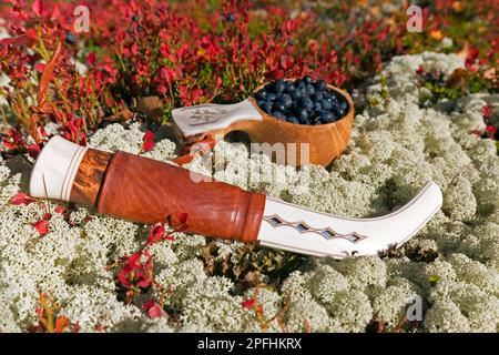 Couteau traditionnel sami et coupe scandinave, guksi en bois / kuksa / kåsa rempli de bleuets européens récoltés / myrtilles à Autum, Suède Banque D'Images