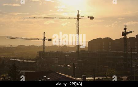 Grues de tour sur un chantier silhoueté contre la forte lumière du soleil Santander Cantabria Espagne Banque D'Images