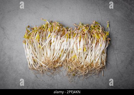 Haricots mung germés sur fond gris. Concept alimentaire sain micro-vert et végétalien. Banque D'Images