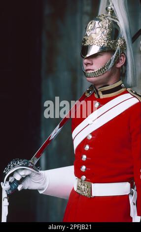 Queen's Horse Guard, Londres, Angleterre Banque D'Images