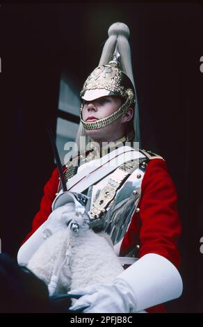 Queen's Horse Guard, Londres, Angleterre Banque D'Images