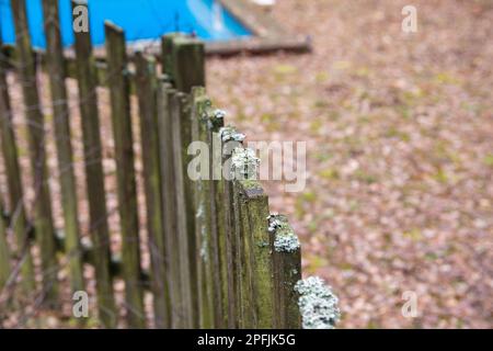 Une vieille clôture de mousse, un jour d'automne parmi les vieux bâtiments. Banque D'Images