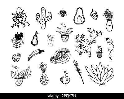 Différents types de plantes, ensemble de nouilles noires Illustration de Vecteur