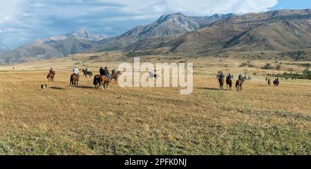 Traditionnel Kokpar ou Buzkashi à la périphérie du parc national de Gabagly, Shymkent, région sud, Kazakhstan, Asie centrale, Pour usage éditorial uniquement Banque D'Images