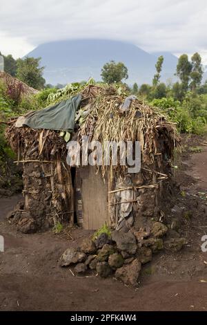 Hutte de boue dans le village de Pygmy, avec volcan en arrière-plan, montagnes de Virunga, Ouganda Banque D'Images