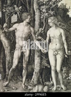 ALBRECHT DÜRER Adam et Eve (la chute de l'Homme), 1504 Banque D'Images