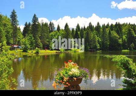 Lac de montagne, forêt de montagne, source, Loisachtal, Bavière Banque D'Images