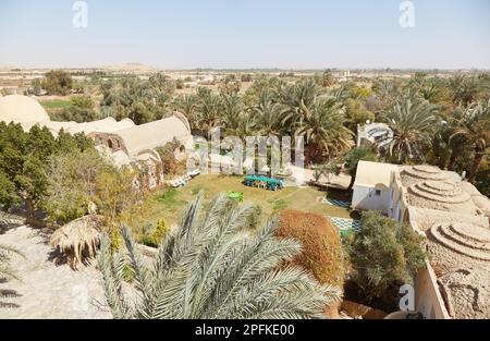 L'oasis de Baharia au milieu du désert occidental de l'Égypte Banque D'Images