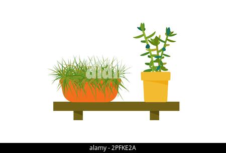Plantes de maison. Fleurs dans un pot sur une étagère en bois. Elément de conception. Illustration vectorielle Illustration de Vecteur