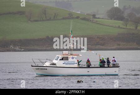 Rue Courtmacsherry Patrick's Day Parade 2023 Banque D'Images