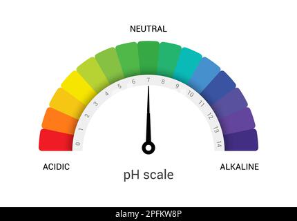 Diagramme de l'indicateur de l'échelle de pH mesure alcaline acide. Analyse du pH analyse du vecteur de la valeur de l'échelle chimique Illustration de Vecteur