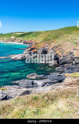 Kennedgy Cove, South West Coast Path, Penzance, Cornwall, Angleterre Banque D'Images