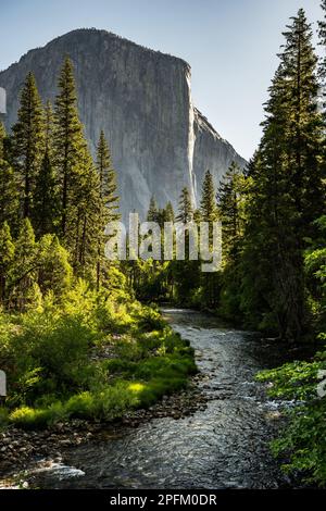 Lumière sur le nez d'El Capitan le matin tranquille à Yosemite Banque D'Images