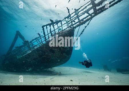 Femme plongeur explore l'épave du JabJab sur le pont Divesite au large de l'île néerlandaise des Caraïbes de Sint Maarten Banque D'Images
