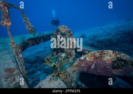 Diver explore l'épave du site de plongée de Fuh Sheng au large de l'île néerlandaise de Sint Maarten, dans les Caraïbes Banque D'Images