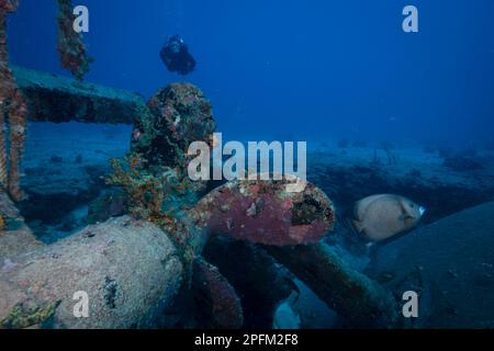 Diver explore l'épave du site de plongée de Fuh Sheng au large de l'île néerlandaise de Sint Maarten, dans les Caraïbes Banque D'Images