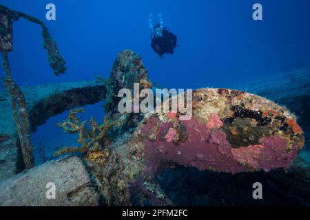 Diver explore l'épave du site de plongée de Fuh Sheng au large de l'île néerlandaise de Sint Maarten, dans les Caraïbes Banque D'Images