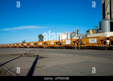 Port Adelaide, Australie - 23 mai 2022 : Cargill fournit des produits et services financiers et industriels alimentaires, agricoles et au monde entier Banque D'Images