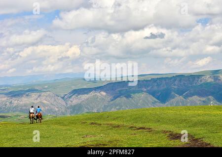 Qiongkushtai à Xinjiang, un petit village kazakh qui possède une vaste prairie et des chevaux et des moutons tranquilles. Banque D'Images