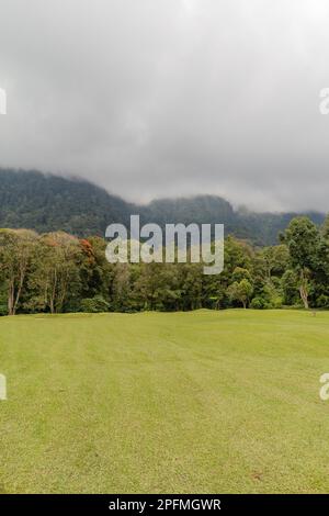 Paysage vert de Hamara, Bedugul, Gianyar, Bali, Indonésie. Banque D'Images