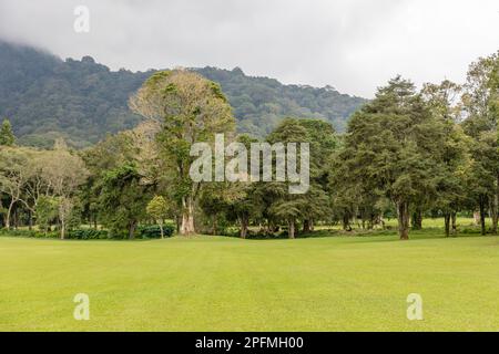 Paysage vert de Hamara, Bedugul, Gianyar, Bali, Indonésie. Banque D'Images