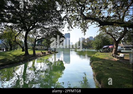 Le parc Lumphini propose des espaces publics ouverts rares, des arbres et des terrains de jeux dans la capitale thaïlandaise de Bangkok, que l'on voit ici un dimanche après-midi idyllique, le 2023 janvier Banque D'Images