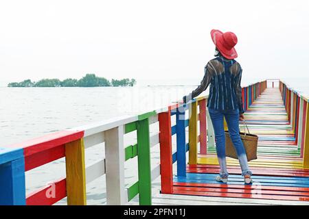 Femme sur une promenade en bois colorée en regardant vers le ciel Banque D'Images