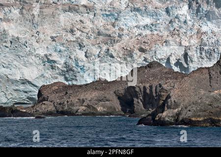 Péninsule Antarctique, île des éléphants Banque D'Images