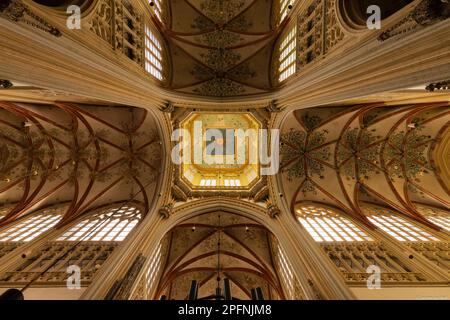 Dôme dans la cathédrale de la ville de Den Bosch. Banque D'Images