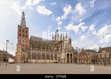 St. Cathédrale de John, au centre de Den Bosch aux pays-Bas. Banque D'Images