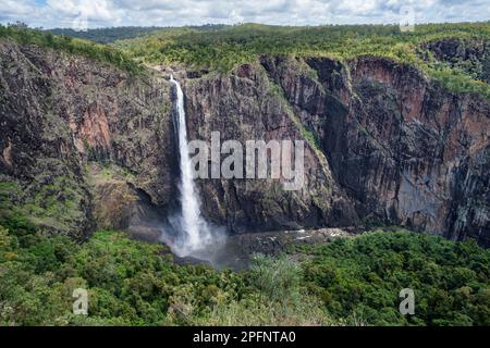 La plus haute chute d'eau d'Australie - Wallaman Falls, Girringun National Park, Queensland, Australie Banque D'Images