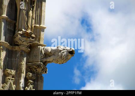 Gargoyle de la cathédrale de Sienne, Italie Banque D'Images