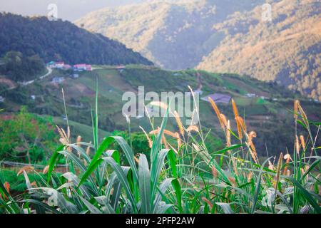 Vue panoramique sur la vallée de la chaîne de montagnes crocker dans l'île de Bornéo, près du parc national de Kinabalu, Sabah, Malaisie Banque D'Images