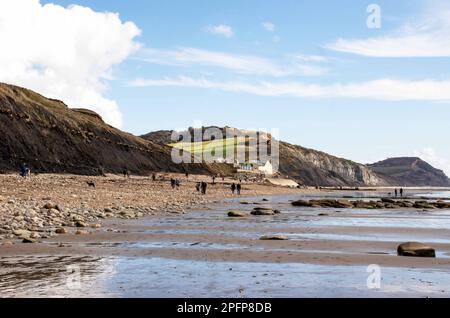 Les marcheurs et les chasseurs de fossiles font le maximum d'une belle journée et d'une marée basse sur la plage entre Lyme Regis et Charmouth dans Dorset. Banque D'Images