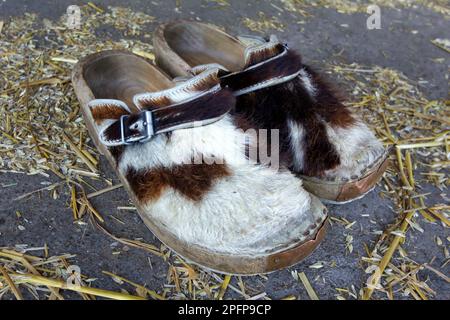 Chaussures de fourrure de vache en bois uniques d'un agriculteur allemand sur un sol recouvert de paille Banque D'Images