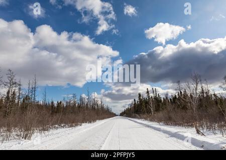 Route enneigée menant à travers les terres humides et la forêt de Sax-Zim Bog, Minnesota, États-Unis Banque D'Images