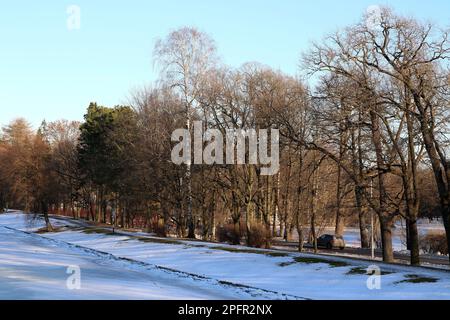 Saint-Pétersbourg, Russie. 17th mars 2023. Vue sur une route enneigée dans le parc central de la culture et des loisirs (parc Yelagin) à Saint-Pétersbourg. (Credit image: © Maksim Konstantinov/SOPA Images via ZUMA Press Wire) USAGE ÉDITORIAL SEULEMENT! Non destiné À un usage commercial ! Banque D'Images