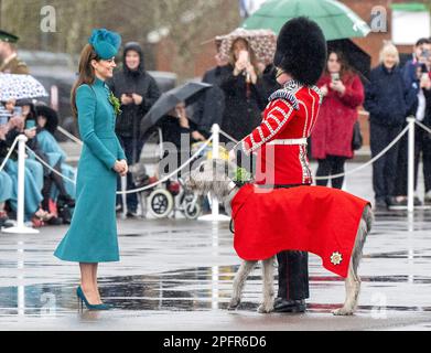 Aldershot, Angleterre. ROYAUME-UNI. 17 mars 2023. Catherine, princesse de Galles présente la mascotte régimentaire irlandaise Wolf Hound 'Turlough Mor' (alias Seamus) avec un Banque D'Images