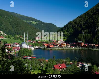 Le célèbre lac de montagne touristique de Turquie. Long lac (Uzungöl) vue depuis le sommet de la vue à la lumière du matin. Trabzon, Turquie Banque D'Images