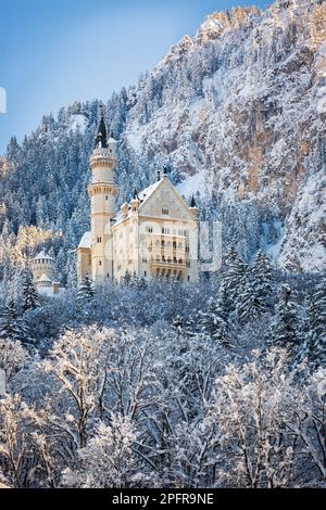 Château de Neuschwanstein en paysage hivernal, Allemagne Banque D'Images