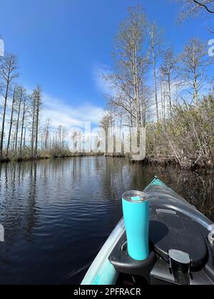 Un kayakiste est prêt à hydrater en utilisant une bouteille rechargeable à la réserve naturelle nationale d'Okefenokee, le plus grand marais d'amérique du Nord. Banque D'Images