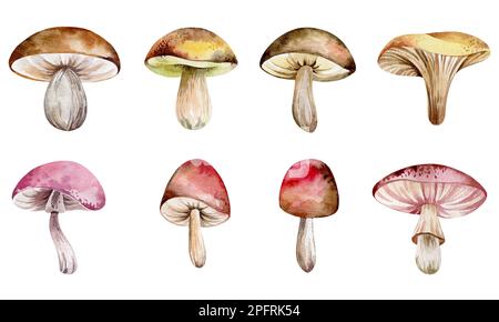 Jeu d'illustrations aquarelles de champignons forestiers. Illustration pour enfants isolée sur fond blanc de champignons de dessin animé.dessinée à la main pour poster imprimé, Banque D'Images